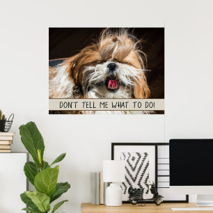 Poster Shih tzu langue drôle Ne me dites pas quoi faire