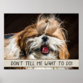 Poster Shih tzu langue drôle Ne me dites pas quoi faire (Devant)