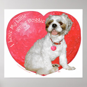 Poster Shih Tzu / Lhasa Apso Saint-Valentin