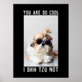 Poster Shih Tzu Not fun cute dog lovers Custom Photo text (Devant)