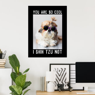 Poster Shih Tzu Pas amusant mignon chien cool texte perso