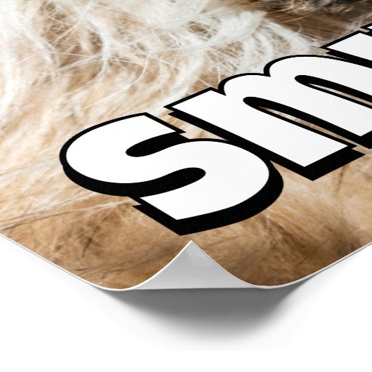 Poster Shih tzu yawning laughing smile text customize (Coin)