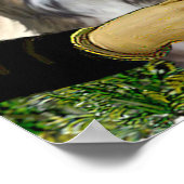 Poster Shih Tzus 4 -MONA (Coin)