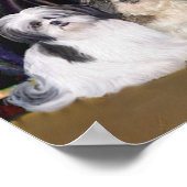 Poster Shih Tzus (seven) - Whistlers Mother (Coin)