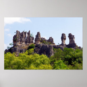 Poster Shilin pinnacles Forêt de pierre - Yunnan, Chine, 