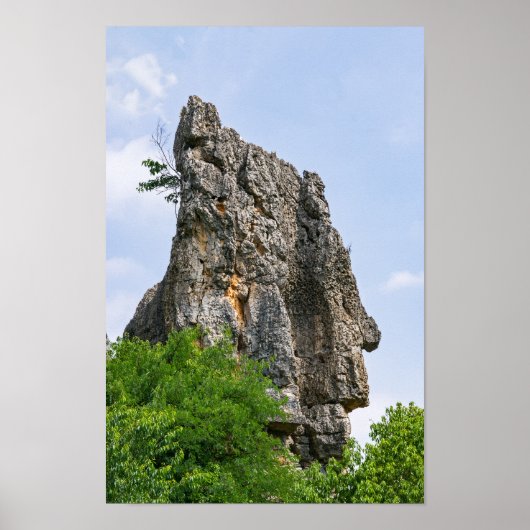 Poster Shilin pinnacles Forêt de pierre - Yunnan, Chine, (Devant)