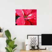 Poster Shimmer Star Surprise Poinsettia vacances Florale (Bureau à domicile)