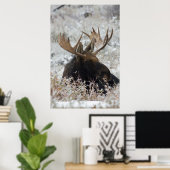 Poster Shiras Bull Moose 2 (Bureau à domicile)
