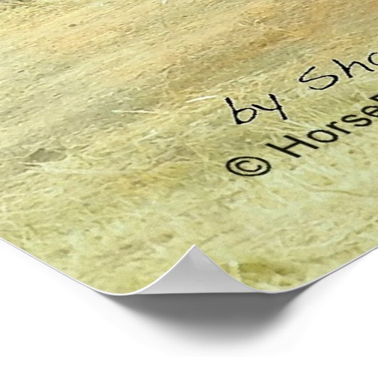 Poster Shire Galloping (Coin)