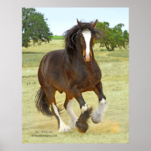 Poster Shire Galloping (Devant)