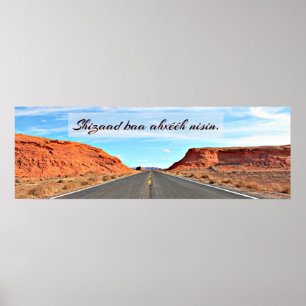 Poster Shizaad baa é é h nisin. I respect my language.