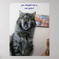 Shocked Kitty Loves Painting