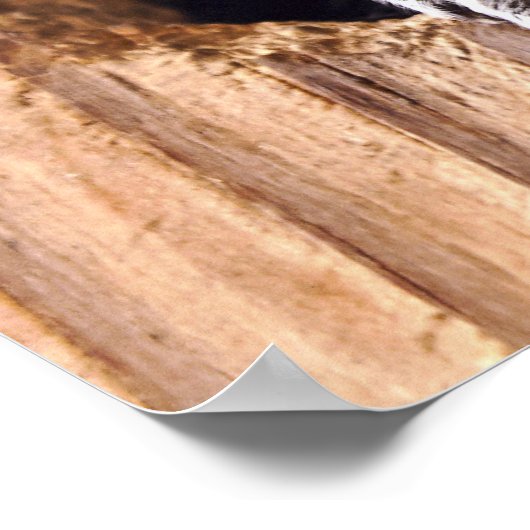 Poster Shocked Squirrel (Coin)