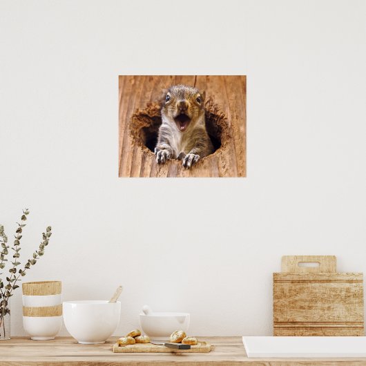 Poster Shocked Squirrel (Cuisine)