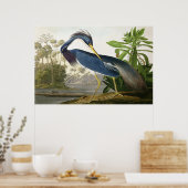 Poster Shore Lark - Peintre de la faune John Audubon (Cuisine)