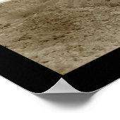 Poster Shoshone Falls Idaho Photo 1913 (Coin)