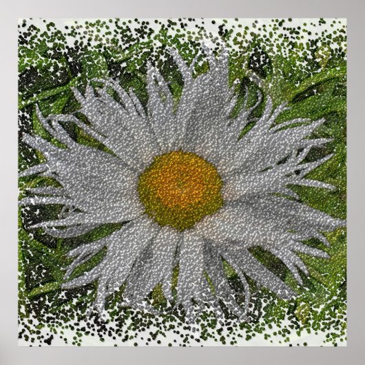 Poster Show Me A Daisy #1 (Devant)