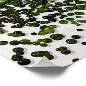 Poster Show Me A Daisy #1 (Coin)