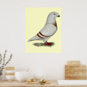 Poster Show Racer Red Bar Pigeon (Cuisine)