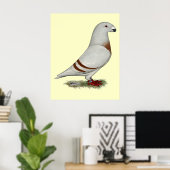Poster Show Racer Red Bar Pigeon (Bureau à domicile)