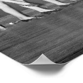 Poster Showgirls, 1925. Photo vintage (Coin)