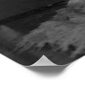 Poster Showgirls - P0000497.JPG (Coin)