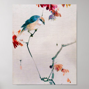 Poster Shrike et Spider à tête molle, Watanabe Seitei