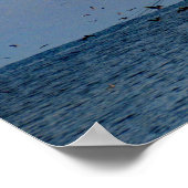 Poster Shrimping At Sundown (Coin)