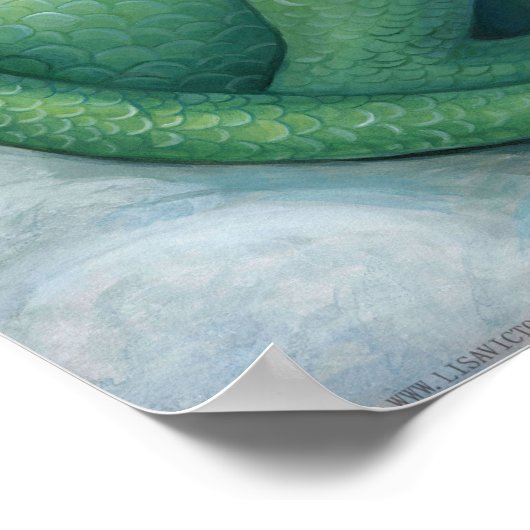 Poster Shy Dragon (Coin)