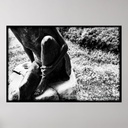 Poster "Si je pouvais voler" (Devant)