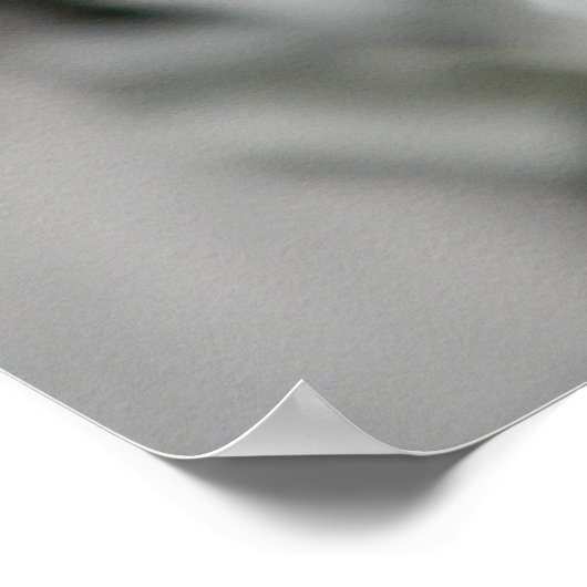 Poster Si pure... (Coin)