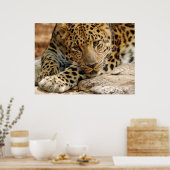 Poster Si Seulement...Je Pouvais Être Sauvé (Cuisine)