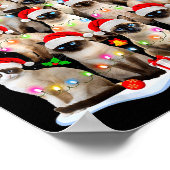 Poster Siamese Cat Christmas Tree Lights Xmas Catmas Cat (Coin)
