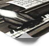 Poster Siamese Cats Piano Music (Coin)