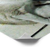 Poster Siamese Chat Friend (Coin)