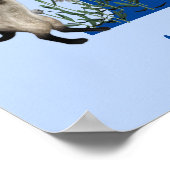 Poster Siamese Papillon de chat Monogramme Initiale T Vot (Coin)