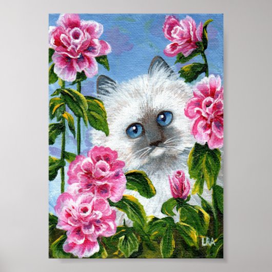 Poster Siamese Ragdoll Chat Rose Roses Créationarts (Devant)