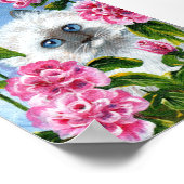 Poster Siamese Ragdoll Chat Rose Roses Créationarts (Coin)