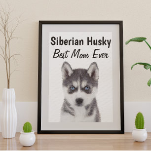 Poster Siberian Husky Best Mom