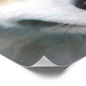 POSTER SIBERIAN HUSKY CHIEN "FAR EYES" (Coin)