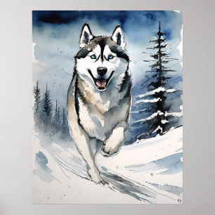Poster Sibérie Husky - Art Chien Imprimer