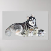 Poster Sibérie Husky & Puppies Imprimer (Devant)