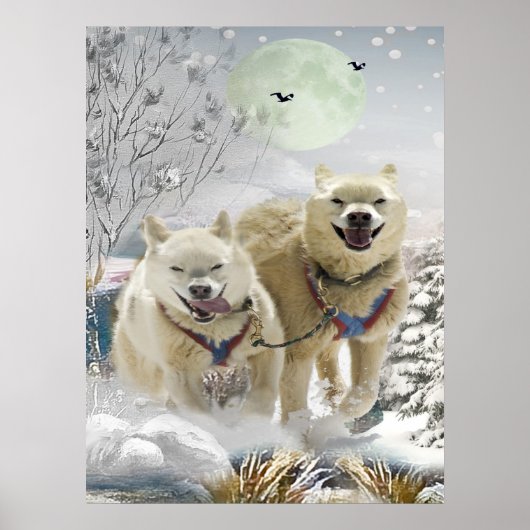 Poster Sibérie Husky Winter Scène Imprimer (Devant)
