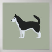 Poster Sibérien Husky (Devant)