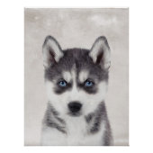 Poster Sibérien Husky (Devant)