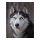 Poster Sibérien Husky (Devant)