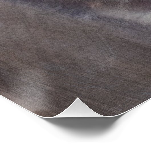 Poster Sibérien Husky (Coin)