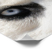 Poster Sibérien Husky Demon 3 (Coin)