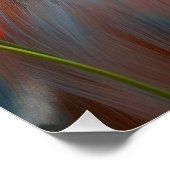 Poster Sídney: Arte de Línea contemporáneo, coordenadas. (Coin)