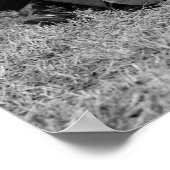 Poster Siège Bleacher : 1925 (Coin)